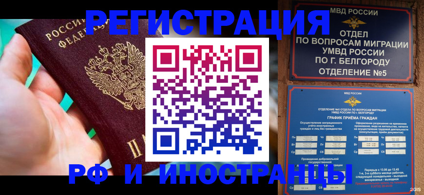 форма 3 в Щиграх